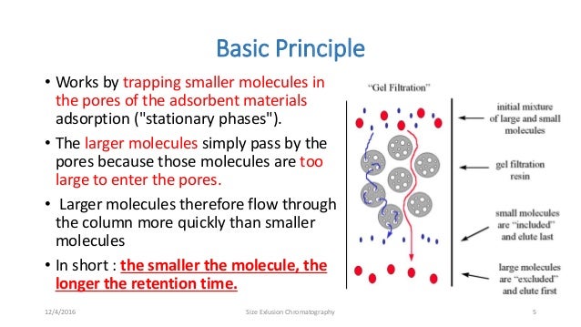 size exclusion chromatograpy size exclusion chromatography