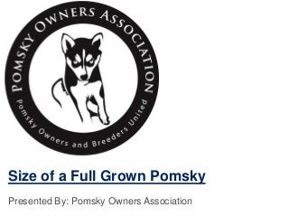 Size of a Full Grown Pomsky
Presented By: Pomsky Owners Association
 