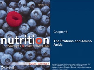 Chapter 6
The Proteins and Amino
Acids
Sizer and Whitney, Nutrition: Concepts and Controversies, 15th
Edition. © 2020 Cengage. All Rights Reserved. May not be
scanned, copied or duplicated, or posted to a publicly accessible
website, in whole or in part.
 