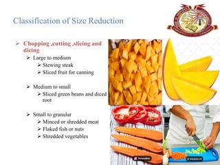Size reduction: Size Reduction Of Fibrous Foods | PPTX