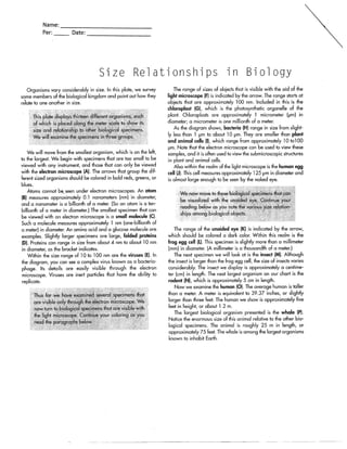 Size relationships in bio rdg wkst