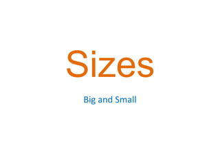 Sizes Big and Small 
