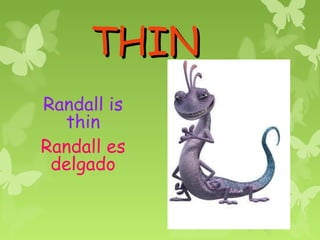 THIN
Randall is
  thin
Randall es
 delgado
 
