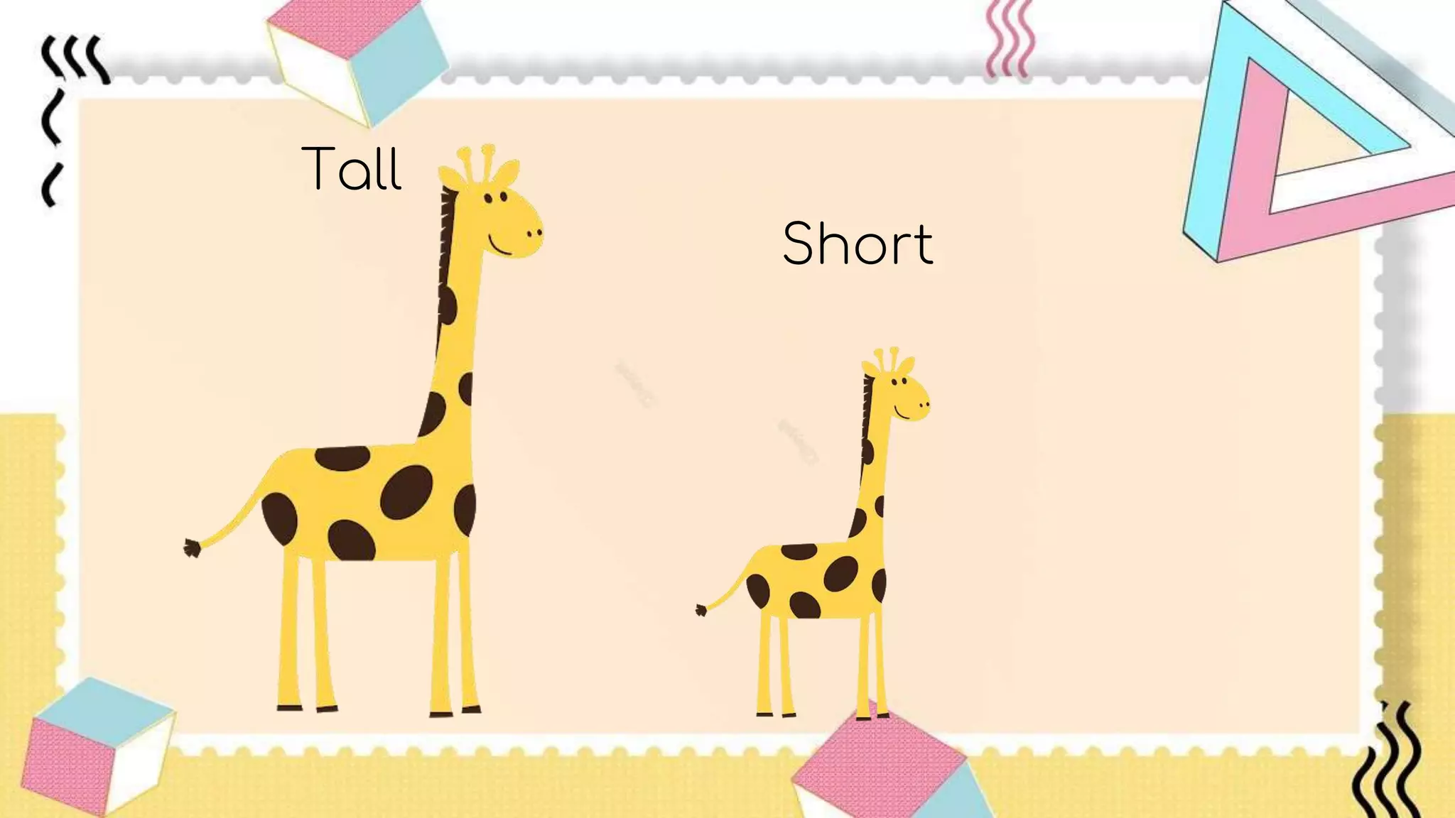 Tall
Short