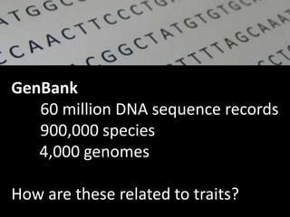 GenBank
60 million DNA sequence records
900,000 species
4,000 genomes
How are these related to traits?
 