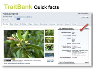 TraitBank Quick facts
 