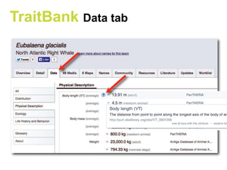 TraitBank Data tab
 