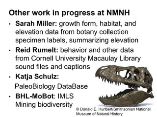 Other work in progress at NMNH
• Sarah Miller: growth form, habitat, and
elevation data from botany collection
specimen labels, summarizing elevation
• Reid Rumelt: behavior and other data
from Cornell University Macaulay Library
sound files and captions
• Katja Schulz:
PaleoBiology DataBase
• BHL-MoBot: IMLS
Mining biodiversity
© Donald E. Hurlbert/Smithsonian National
Museum of Natural History
 