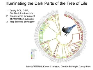 Illuminating the Dark Parts of the Tree of Life
Jessica Oswald, Karen Cranston, Gordon Burleigh, Cyndy Parr
1. Query EOL, GBIF,
GenBank for # records
2. Create score for amount
of information available
3. Map score to phylogeny
 