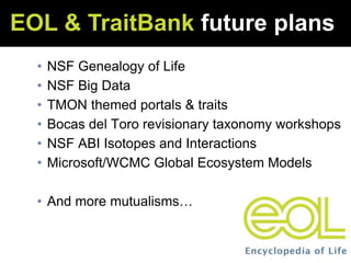 • NSF Genealogy of Life
• NSF Big Data
• TMON themed portals & traits
• Bocas del Toro revisionary taxonomy workshops
• NSF ABI Isotopes and Interactions
• Microsoft/WCMC Global Ecosystem Models
• And more mutualisms…
EOL & TraitBank future plans
 