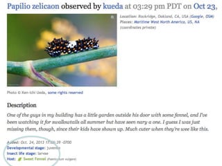 Annotation of an observation record
 