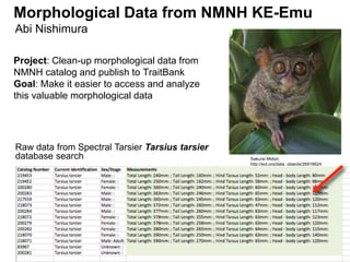 RESULTS
• Primate data published (320 taxa)
• Comprehensive mammals data to
be published soon (4662 taxa)
• Bird catalog c...