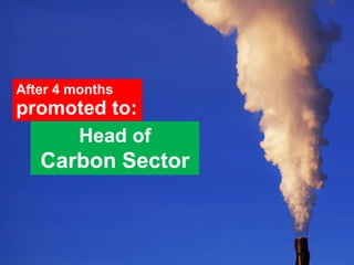 After 4 months promoted to:Head of Carbon Sector