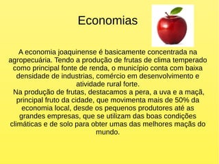 Economias
A economia joaquinense é basicamente concentrada na
agropecuária. Tendo a produção de frutas de clima temperado
como principal fonte de renda, o município conta com baixa
densidade de industrias, comércio em desenvolvimento e
atividade rural forte.
Na produção de frutas, destacamos a pera, a uva e a maçã,
principal fruto da cidade, que movimenta mais de 50% da
economia local, desde os pequenos produtores até as
grandes empresas, que se utilizam das boas condições
climáticas e de solo para obter umas das melhores maçãs do
mundo.
 