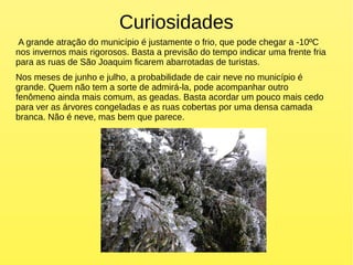 Curiosidades
A grande atração do município é justamente o frio, que pode chegar a -10ºC
nos invernos mais rigorosos. Basta a previsão do tempo indicar uma frente fria
para as ruas de São Joaquim ficarem abarrotadas de turistas.
Nos meses de junho e julho, a probabilidade de cair neve no município é
grande. Quem não tem a sorte de admirá-la, pode acompanhar outro
fenômeno ainda mais comum, as geadas. Basta acordar um pouco mais cedo
para ver as árvores congeladas e as ruas cobertas por uma densa camada
branca. Não é neve, mas bem que parece.
 