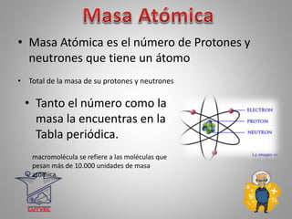 • Masa Atómica es el número de Protones y
neutrones que tiene un átomo
• Tanto el número como la
masa la encuentras en la
Tabla periódica.
• Total de la masa de su protones y neutrones
macromolécula se refiere a las moléculas que
pesan más de 10.000 unidades de masa
atómica.
 