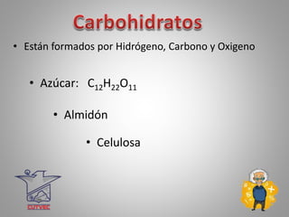 • Están formados por Hidrógeno, Carbono y Oxigeno
• Azúcar: C12H22O11
• Almidón
• Celulosa
 