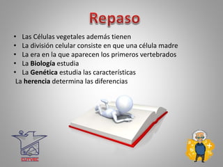 • Las Células vegetales además tienen
• La división celular consiste en que una célula madre
• La era en la que aparecen los primeros vertebrados
• La Biología estudia
• La Genética estudia las características
La herencia determina las diferencias
 