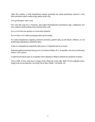 Jedna riba, strijelac, je toliki besprijekorni majstor geometrije da, unatoč prelamanju svjetlosti u vodi,
tačno proračuna mjesto insekta kojeg ugleda iznad vode.
I lovi ga štrcanjem vode iz usta.
Ova vrsta ribe, koja živi u Amazonu, opet jednim besprijekornim proračunom ugla i udaljenosti, lovi
žrtvu iskačući i preko jednog metra iznad površine vode.
Sva ova živa bića nas upućuju na veoma bitne činjenice:
Sva ova bića su živi dokazi postojanja njihovog Stvoritelja...
Sa svojim kompleksnim organima, složenim sistemima, građom tijela, pa čak bojom i oblikom, svi oni
predstavljaju pojedinačna umjetnička djela...
Svako ovo besprijekorno umjetničko djelo govori o Umjetniku koji ih je stvorio...
Raskošna podmorna kreacija nam govori o UzvišenomAllahu, dž. š., Gospodaru svih mora, kontinenata,
nebesa i svih svjetova.
U jednom kur'anskom ajetu se na slijedeći način objašnjavaAllahova jedinstvena umjetnost stvaranja:
"On je Allah, Tvorac, Onaj koji iz ničega stvara, Onaj koji svemu daje oblik, On ima najljepša imena.
Njega hvale oni na nebesima i na Zemlji, On je Silni i Mudri." (Al-Hashr, 24)
11
 