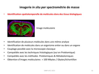 imagerie in situ par spectrométrie de masse
•

Identification-spatiotemporelle de molécules dans des tissus biologiques

Image moléculaire

•
•
•
•
•
•

Identification de plusieurs molécules dans une même analyse
Identification de molécules dans un organisme entier ou dans un organe
Couplage possible avec la microscopie classique
Compatible avec les techniques histologiques (oui en Protéomique)
Compatible avec les méthodes Protéomiques & Métabolomiques
Obtention d’images moléculaires > 100 Mbytes / Gbytes/échantillon

SJBM 1412 2013

32

 