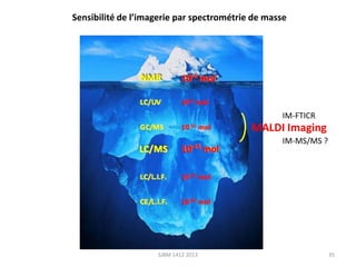 Sensibilité de l’imagerie par spectrométrie de masse

IM-FTICR

MALDI Imaging
IM-MS/MS ?

SJBM 1412 2013

35

 