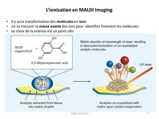 L’ionisation en MALDI Imaging
• Il y aura transformation des molécules en ions
• on va mesurer la masse exacte des ions pour identifier finement les molécules
• Le choix de la matrice est un point clés

SJBM 1412 2013

37

 
