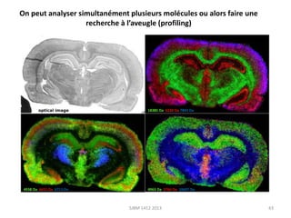 On peut analyser simultanément plusieurs molécules ou alors faire une
recherche à l’aveugle (profiling)

optical image

18385 Da 6230 Da 7843 Da

4938 Da 6651 Da 6713 Da

4963 Da 5764 Da 10607 Da

SJBM 1412 2013

43

 