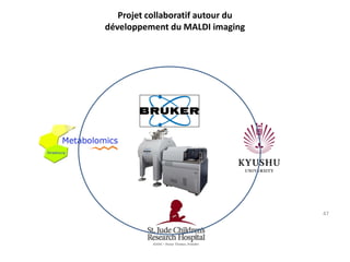 Projet collaboratif autour du
développement du MALDI imaging

SJBM 1412 2013

47

 