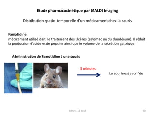 Etude pharmacocinétique par MALDI Imaging
Distribution spatio-temporelle d’un médicament chez la souris
Famotidine
médicament utilisé dans le traitement des ulcères (estomac ou du duodénum). Il réduit
la production d’acide et de pepsine ainsi que le volume de la sécrétion gastrique
Administration de Famotidine à une souris
3 minutes
La sourie est sacrifiée

SJBM 1412 2013

50

 