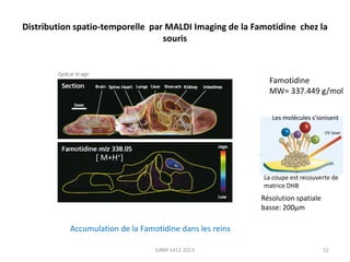 Distribution spatio-temporelle par MALDI Imaging de la Famotidine chez la
souris

Famotidine
MW= 337.449 g/mol
Les molécules s’ionisent

[ M+H+]
La coupe est recouverte de
matrice DHB

Résolution spatiale
basse: 200µm

Accumulation de la Famotidine dans les reins
SJBM 1412 2013

52

 