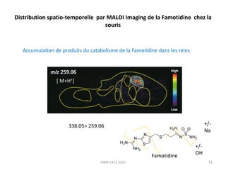 Distribution spatio-temporelle par MALDI Imaging de la Famotidine chez la
souris

Accumulation de produits du catabolisme de la Famotidine dans les reins

[ M+H+]

+/Na

338.05> 259.06

Famotidine
SJBM 1412 2013

+/OH
53

 