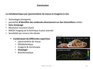 Conclusion
La métabolomique par spectrométrie de masse et imagerie in situ
•
•
•
•
•
•

Technologie émergente
possibilité d’identifier des molécules directement sur des échantillons solides
Sans marquage
Résolution tissulaire (5µm)
MALDI Imaging est la technique la plus avancée
Sensibilité par encore très élevée
 Combinaison de différentes expertises
• spectrométrie de masse
• Métabolomique
• Imagerie & microscopie
• Histologie
• Bioinformatique

SJBM 1412 2013

58

 
