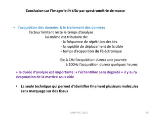 Conclusion sur l’imagerie in situ par spectrométrie de masse

• l’acquisition des données & le traitement des données
facteur limitant reste le temps d’analyse
lui-même est tributaire de:
- la fréquence de répétition des tirs
- la rapidité de déplacement de la cible
- temps d’acquisition de l’éléctronique
Ex: à 1Hz l’acquisition durera une journée
à 100Hz l’acquisition durera quelques heures
+ la durée d’analyse est importante: + l’échantillon sera dégradé + il y aura
évaporation de la matrice sous vide
• La seule technique qui permet d’identifier finement plusieurs molécules
sans marquage sur des tissus

SJBM 1412 2013

59

 