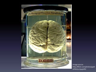 Image source:
http://flickr.com/photos/gaet
anlee/421949167/
 