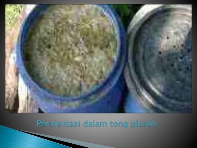 Membuat pakan organik cair ikan lele