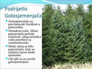 Sjemenjače | PPT