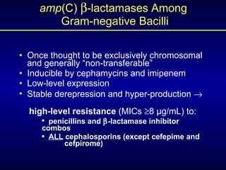 amp (C)   -lactamases Among  Gram-negative Bacilli <ul><li>Once thought to be exclusively chromosomal    and generally “n...