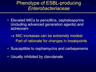 Phenotype of ESBL-producing  Enterobacteriaceae <ul><li>Elevated MICs to penicillins, cephalosporins    (including advance...