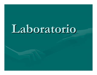 Sjögren Sindrome de