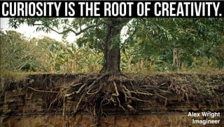 Curiosity is the root of creativity.
Alex Wright
Imagineer
 