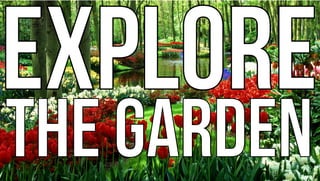 EXPLORE
THE GARDEN
EXPLORE
THE GARDEN
 