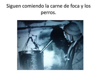 Siguen comiendo la carne de foca y los
perros.
 