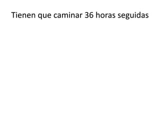 Tienen que caminar 36 horas seguidas
 
