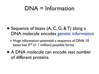 DNA = Information


• Sequence of bases (A, C, G, & T) along a
  DNA molecule encodes genetic information
 ‣ Huge information potential: a sequence of DNA 10
   bases has 410 (> 1 million) possible forms

• A DNA molecule can encode vast number
  of different proteins
 