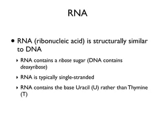 RNA

• RNA (ribonucleic acid) is structurally similar
  to DNA
 ‣ RNA contains a ribose sugar (DNA contains
   deoxyribose)
 ‣ RNA is typically single-stranded
 ‣ RNA contains the base Uracil (U) rather than Thymine
   (T)
 