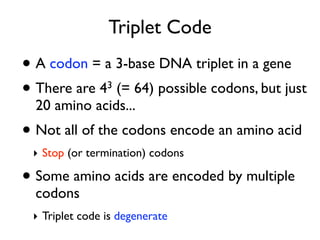 Triplet Code
• A codon = a 3-base DNA triplet in a gene
• There are 4 (= 64) possible codons, but just
                3

  20 amino acids...
• Not all of the codons encode an amino acid
 ‣ Stop (or termination) codons

• Some amino acids are encoded by multiple
  codons
 ‣ Triplet code is degenerate
 