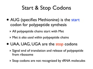 Start & Stop Codons

• AUG (speciﬁes Methionine) is the start
  codon for polypeptide synthesis
 ‣ All polypeptide chains start with Met
 ‣ Met is also used within polypeptide chains

• UAA, UAG, UGA are the stop codons
 ‣ Signal end of translation and release of polypeptide
   from ribosome
 ‣ Stop codons are not recognized by tRNA molecules
 