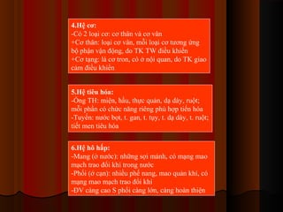 4.Hệ cơ:
-Có 2 loại cơ: cơ thân và cơ vân
+Cơ thân: loại cơ vân, mỗi loại cơ tương ứng
bộ phận vận động, do TK TW điều khiển
+Cơ tạng: là cơ tron, có ở nội quan, do TK giao
cảm điều khiển
5.Hệ tiêu hóa:
-Ống TH: miện, hầu, thực quản, dạ dày, ruột;
mỗi phần có chức năng riêng phù hợp tiến hóa
-Tuyến: nước bọt, t. gan, t. tụy, t. dạ dày, t. ruột;
tiết men tiêu hóa
6.Hệ hô hấp:
-Mang (ở nước): những sợi mảnh, có mạng mao
mạch trao đổi khí trong nước
-Phổi (ở cạn): nhiều phế nang, mao quản khí, có
mạng mao mạch trao đổi khí
-ĐV càng cao S phổi càng lớn, càng hoàn thiện

 