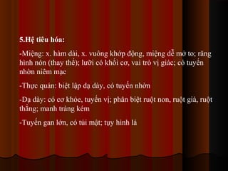 5.Hệ tiêu hóa:
-Miệng: x. hàm dài, x. vuông khớp động, miệng dễ mở to; răng
hình nón (thay thế); lưỡi có khối cơ, vai trò vị giác; có tuyến
nhờn niêm mạc
-Thực quản: biệt lập dạ dày, có tuyến nhờn
-Dạ dày: có cơ khỏe, tuyến vị; phân biệt ruột non, ruột già, ruột
thẳng; manh tràng kém
-Tuyến gan lớn, có túi mật; tụy hình lá

 