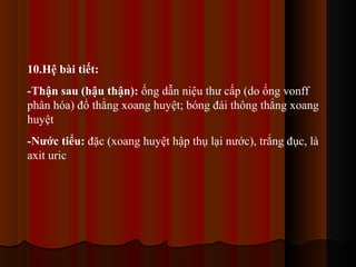 10.Hệ bài tiết:
-Thận sau (hậu thận): ống dẫn niệu thư cấp (do ống vonff
phân hóa) đổ thẳng xoang huyệt; bóng đái thông thẳng xoang
huyệt
-Nước tiểu: đặc (xoang huyệt hập thụ lại nước), trắng đục, là
axit uric

 